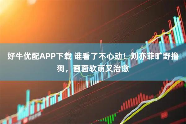 好牛优配APP下载 谁看了不心动！刘亦菲旷野撸狗，画面软萌又治愈