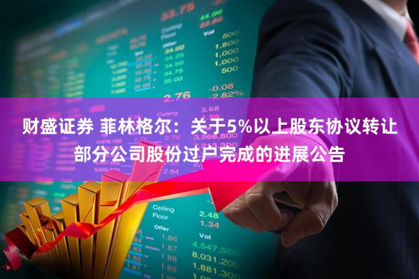 财盛证券 菲林格尔：关于5%以上股东协议转让部分公司股份过户完成的进展公告
