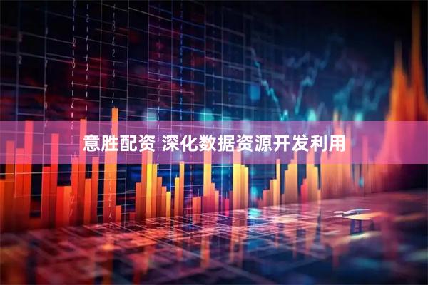 意胜配资 深化数据资源开发利用