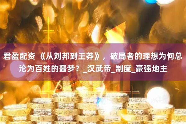 君盈配资 《从刘邦到王莽》，破局者的理想为何总沦为百姓的噩梦？_汉武帝_制度_豪强地主